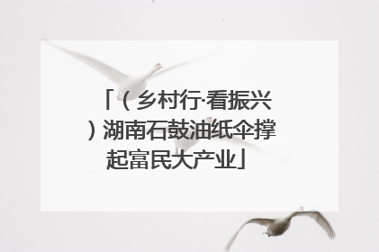 （乡村行·看振兴）湖南石鼓油纸伞撑起富民大产业