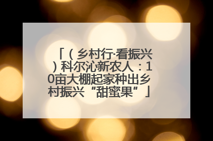 （乡村行·看振兴）科尔沁新农人：10亩大棚起家种出乡村振兴“甜蜜果”