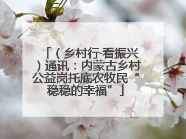 （乡村行·看振兴）通讯：内蒙古乡村公益岗托底农牧民“稳稳的幸福”