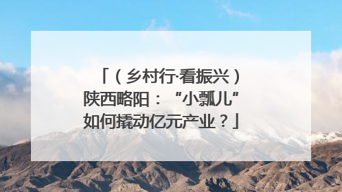 （乡村行·看振兴）陕西略阳：“小瓢儿”如何撬动亿元产业？