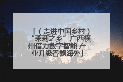 （走进中国乡村）“茉莉之乡”广西横州借力数字智能 产业升级香飘海外