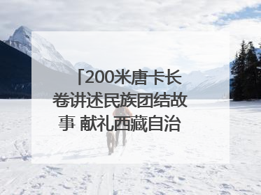 200米唐卡长卷讲述民族团结故事 献礼西藏自治区成立60周年