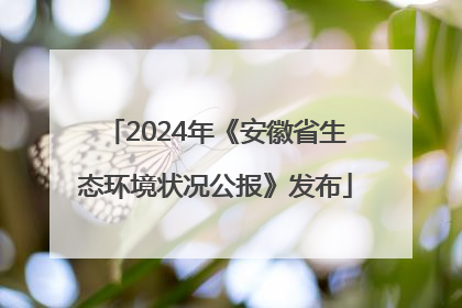 2024年《安徽省生态环境状况公报》发布