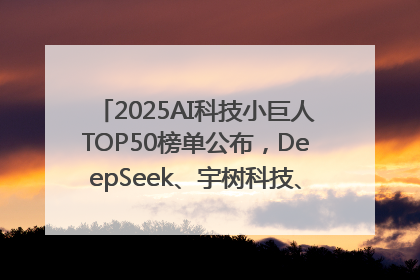 2025AI科技小巨人TOP50榜单公布，DeepSeek、宇树科技、蘑菇车联等企业荣誉上榜