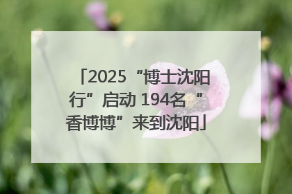 2025“博士沈阳行”启动 194名“香博博”来到沈阳