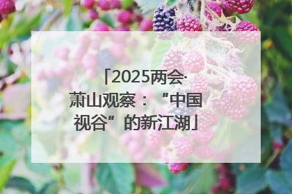 2025两会·萧山观察：“中国视谷”的新江湖