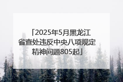 2025年5月黑龙江省查处违反中央八项规定精神问题805起