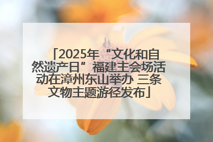 2025年“文化和自然遗产日”福建主会场活动在漳州东山举办 三条文物主题游径发布