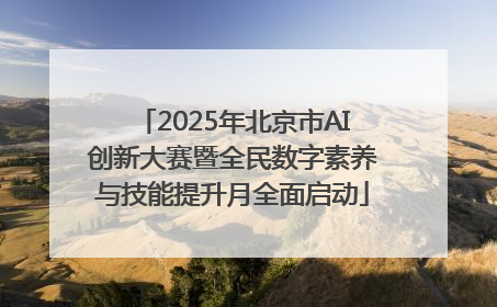 2025年北京市AI创新大赛暨全民数字素养与技能提升月全面启动