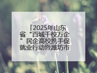 2025年山东省“百城千校万企”民企高校携手促就业行动暨潍坊市职教活动周启动