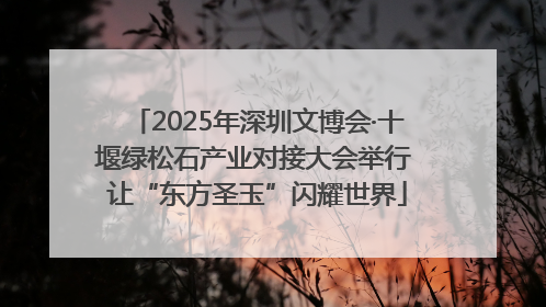 2025年深圳文博会·十堰绿松石产业对接大会举行 让“东方圣玉”闪耀世界