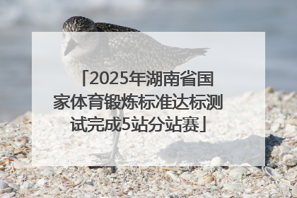 2025年湖南省国家体育锻炼标准达标测试完成5站分站赛