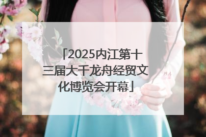 2025内江第十三届大千龙舟经贸文化博览会开幕
