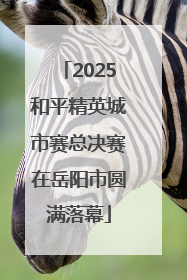 2025和平精英城市赛总决赛在岳阳市圆满落幕