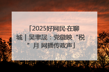 2025好网民·在聊城｜吴聿晟：党徽映“税”月 网播传政声