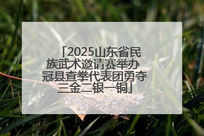 2025山东省民族武术邀请赛举办 冠县查拳代表团勇夺三金二银一铜