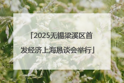 2025无锡梁溪区首发经济上海恳谈会举行