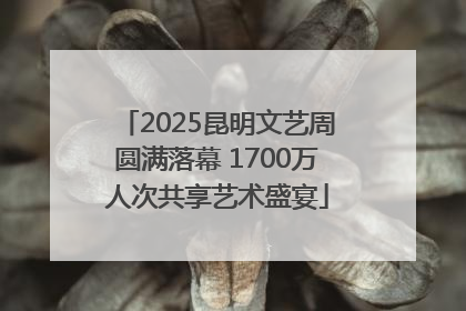 2025昆明文艺周圆满落幕 1700万人次共享艺术盛宴