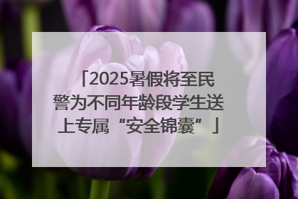 2025暑假将至民警为不同年龄段学生送上专属“安全锦囊”