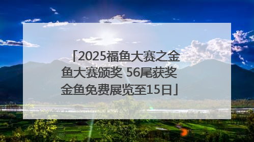 2025福鱼大赛之金鱼大赛颁奖 56尾获奖金鱼免费展览至15日