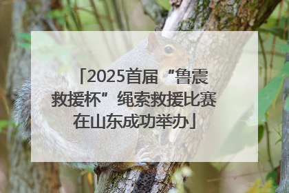 2025首届“鲁震救援杯”绳索救援比赛在山东成功举办