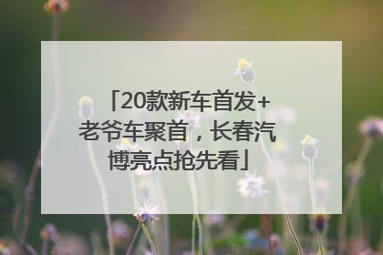 20款新车首发+老爷车聚首，长春汽博亮点抢先看