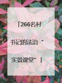 266名村书记的法治“实景课堂”