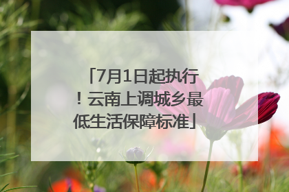 7月1日起执行！云南上调城乡最低生活保障标准