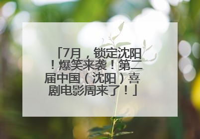 7月，锁定沈阳！爆笑来袭！第二届中国（沈阳）喜剧电影周来了！