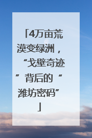 4万亩荒漠变绿洲，“戈壁奇迹”背后的“潍坊密码”