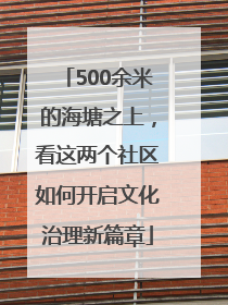 500余米的海塘之上，看这两个社区如何开启文化治理新篇章