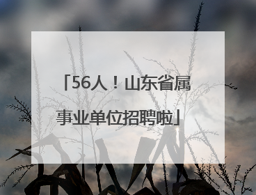 56人！山东省属事业单位招聘啦