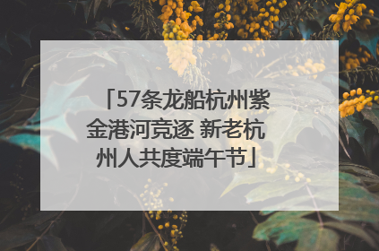 57条龙船杭州紫金港河竞逐 新老杭州人共度端午节