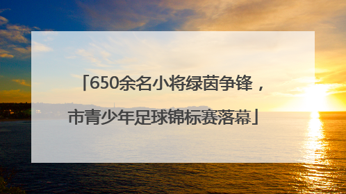 650余名小将绿茵争锋，市青少年足球锦标赛落幕