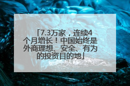 7.3万家，连续4个月增长！中国始终是外商理想、安全、有为的投资目的地