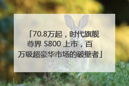 70.8万起，时代旗舰尊界 S800 上市，百万级超豪华市场的破壁者