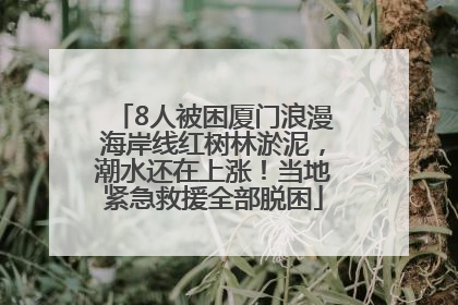 8人被困厦门浪漫海岸线红树林淤泥，潮水还在上涨！当地紧急救援全部脱困