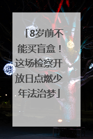 8岁前不能买盲盒！这场检察开放日点燃少年法治梦
