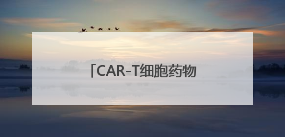 CAR-T细胞药物治疗实体瘤要来了？这款药物申请国内上市