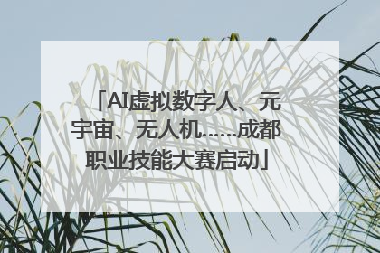 AI虚拟数字人、元宇宙、无人机……成都职业技能大赛启动
