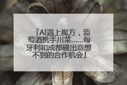 AI遇上魔方，葡萄酒携手川菜……匈牙利和成都碰出意想不到的合作机会