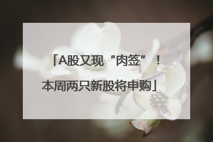 A股又现“肉签”！本周两只新股将申购