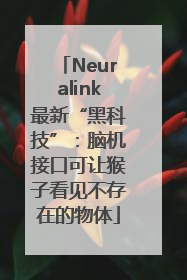 Neuralink最新“黑科技”：脑机接口可让猴子看见不存在的物体