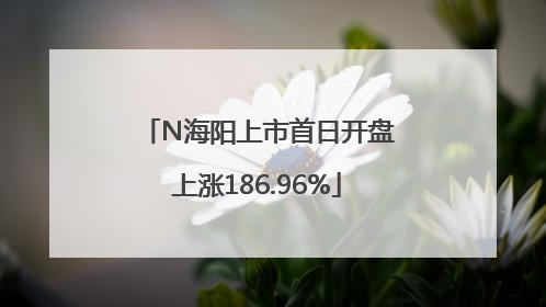 N海阳上市首日开盘上涨186.96%